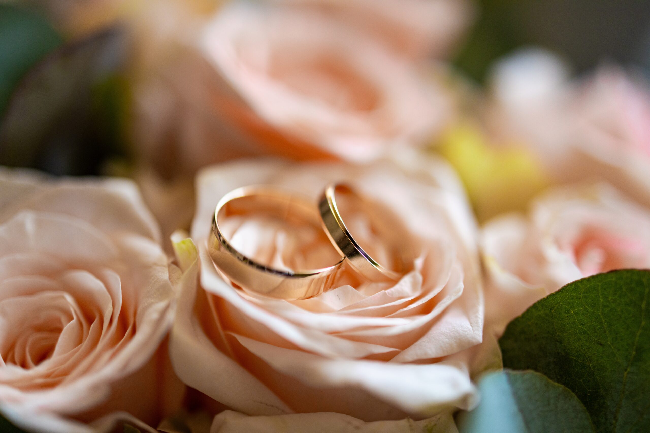 Ringe in Blume